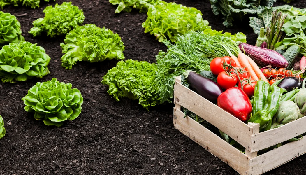 Hrana ide prema novom poskupljenju: Poljoprivrednici pod velikim pritiskom